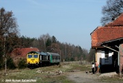 66005