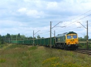 66002