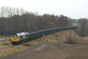 66005