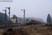 66005