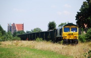 66005
