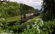 66009