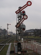 Karzełek w Chełmży