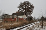 Truskolas
