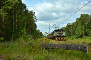 Płotek