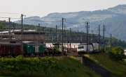 Czerwony Krzyż