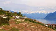 InterRegio w Lavaux