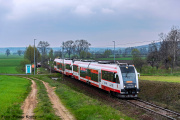 SA132-009 + SA132-015 Lubstówek