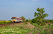 416 036