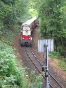 Dziecięcy pociąg w dżungli