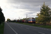 181 036-5