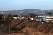 Dolina Bolechowicka