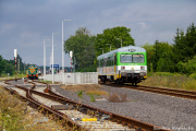Krzyżowanie w Grabowie