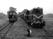 Odejść w zapomnienie