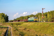 ET42-029 w Przetyczy