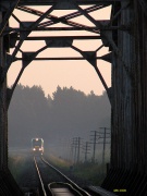 Nad Biebrzą o poranku