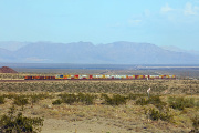 BNSF 3981