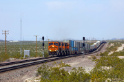 BNSF 3993