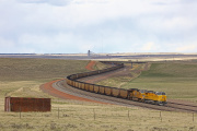 UP 9795