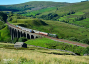 Sezonowiec w Yorkshire