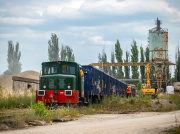 Kaczka niespodzianka