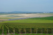 TGV pośród winnic