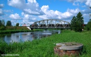 Lotos nad Notecią.