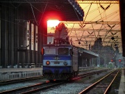 BDZ 46 026 - Carpathian Bear