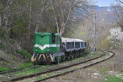 Fieni