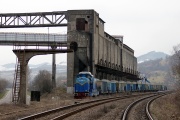 81-0795-5