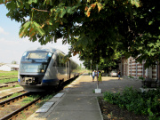 Desiro pod kasztanem