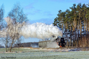Ol49-69 Tłoki