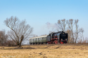 Pt47-65 Dębina