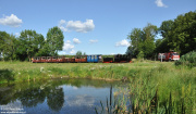 Graf Arnim 99 3301