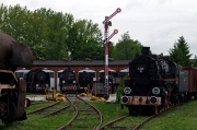 Tr201-51