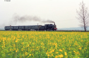 Tr5-65 z rzepakiem