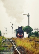 Tekatka w Mościsku Dzierżoniowskim