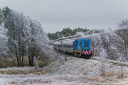 Śnieżne gruszki