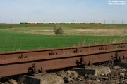 Rybak