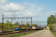 Nietypowe spotkanie