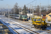 Halny w Kalwarii