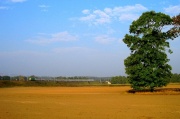 EU07-499