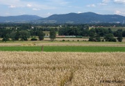 Zamenhof do Wisły