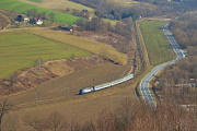 Małpa do Gdyni.