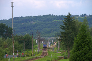 Małpa w Gromniku.