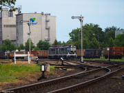 Siódemki w Grodzisku