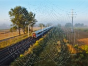 Sieciowy rozkład jazdy pociągów :-)