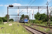 Elektryczne bociany