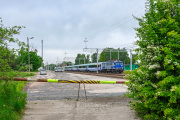 Stańczyk w Gutkowie