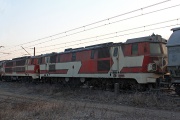 E1019